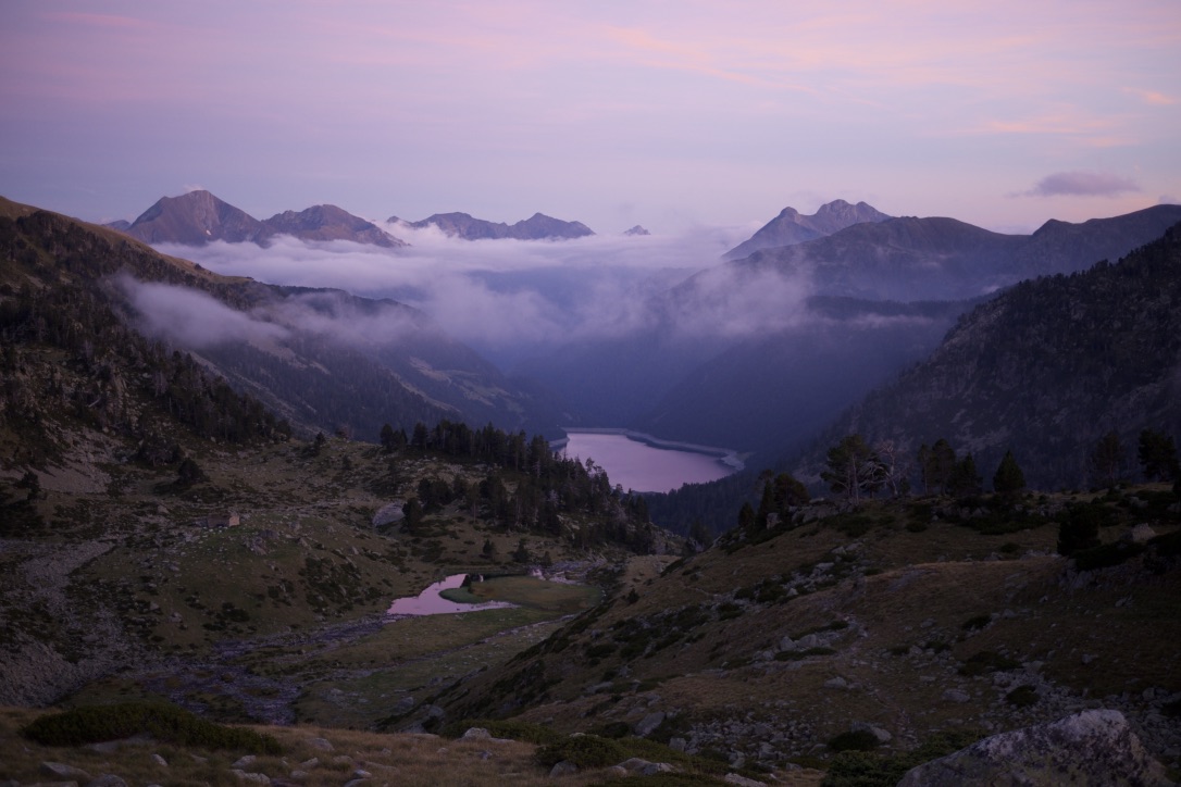 Pyrenean lac